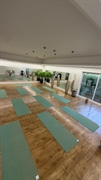 premium beauty wellness yoga - 3