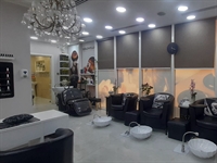 established ladies salon al - 1