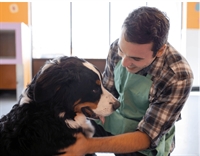 profitable pet care boarding - 1