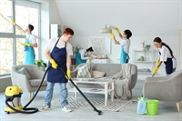 established cleaning company abu - 1