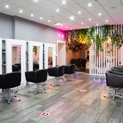 profitable women s salon - 1