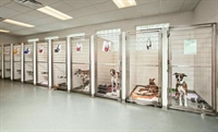 multi-branch pet care business - 1