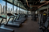 premium fitness equipment distributor - 1