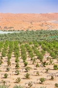 established agricultural engineering f - 1
