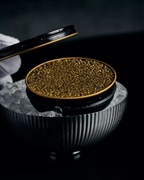 premium caviar distribution business - 1