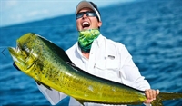 island hopping charter business - 1