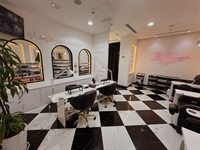 established ladies' beauty salon - 1