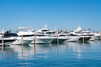 premium yachts business dubai - 1