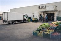 uae hotel foodservice produce - 1