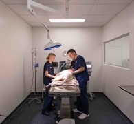 multi-branch veterinary clinic - 1