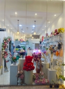 attractive commercial business opportunity - 2