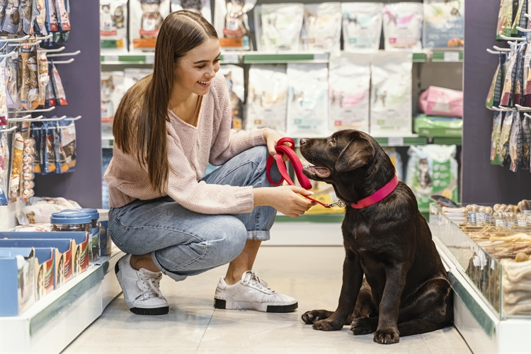 Dog shop for outlet sale