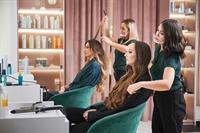 profitable ladies salon with - 1