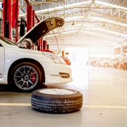 established luxury auto service - 1