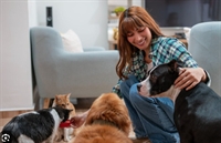 very profitable pet care - 1