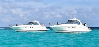 2 yachts business dubai - 1