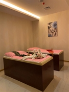 established spa dubai marina - 2