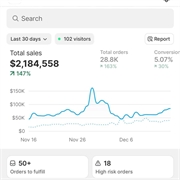 300k profit ecommerce business - 1