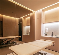premium wellness business for - 1