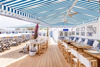 prime beach club palm - 1