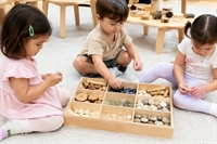 abu dhabi nursery for - 1