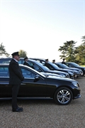 profitable luxury chauffeur transportation - 1