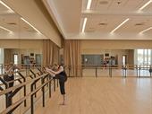 fully fitted ballet studio