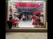 profitable established flower shop