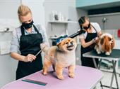 pet grooming boarding dubai
