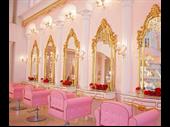 elegant villa suitable for