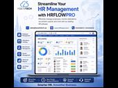 it business dubai for