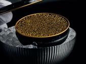 premium caviar distribution business