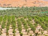 established agricultural engineering f