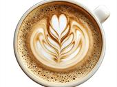 speciality coffee shop for
