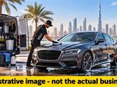 profitable mobile car detailing