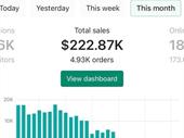 300k profit e-commerce business